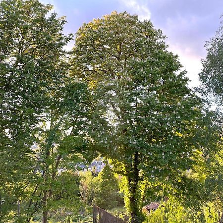 Sara Home Chennevieres-sur-Marne Екстер'єр фото