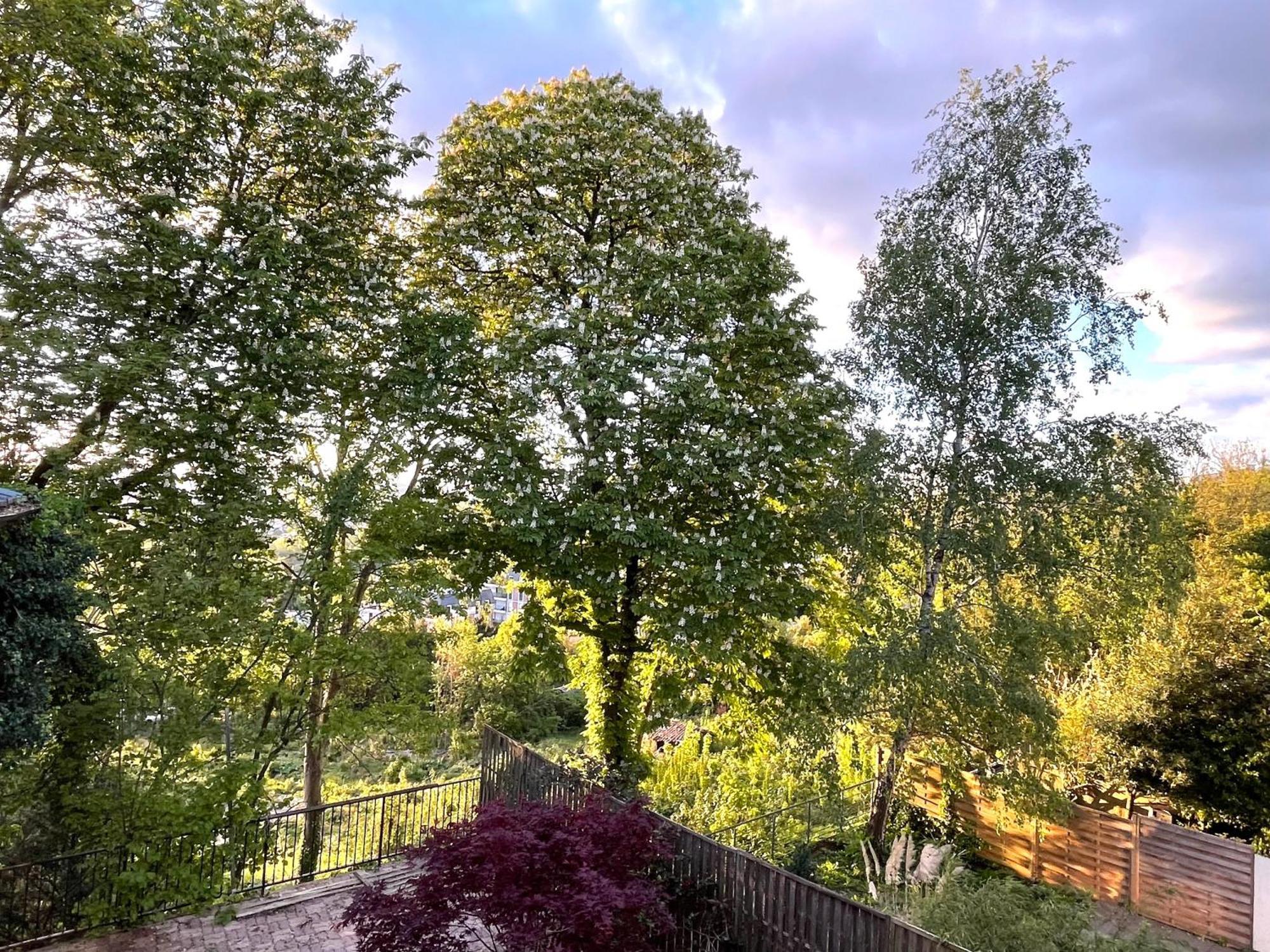 Sara Home Chennevieres-sur-Marne Екстер'єр фото